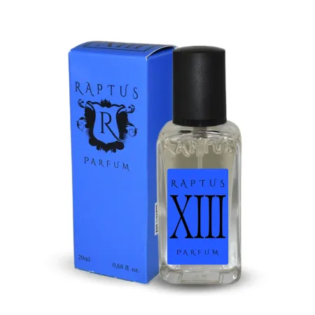 raptus-xiii.webp