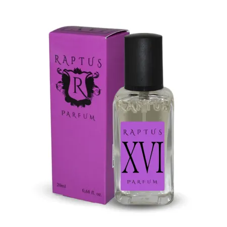 raptus-xvi.webp